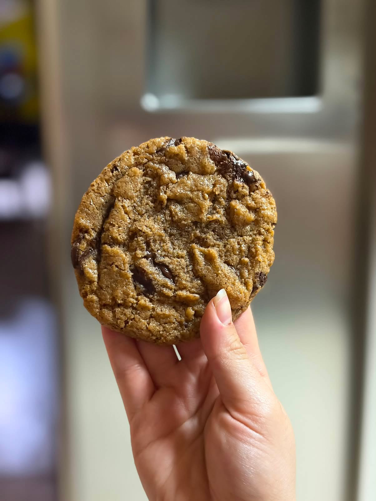 Galleta artesanal de chocolate recién hecha